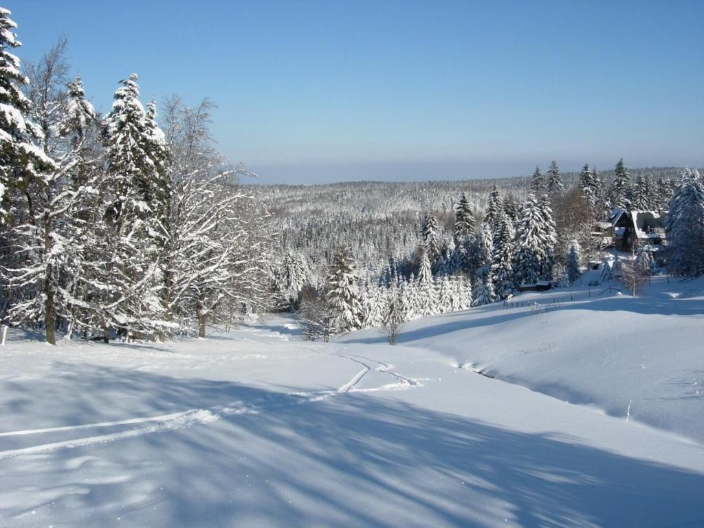 Hotel Helenenhof Altenberg  Esterno foto